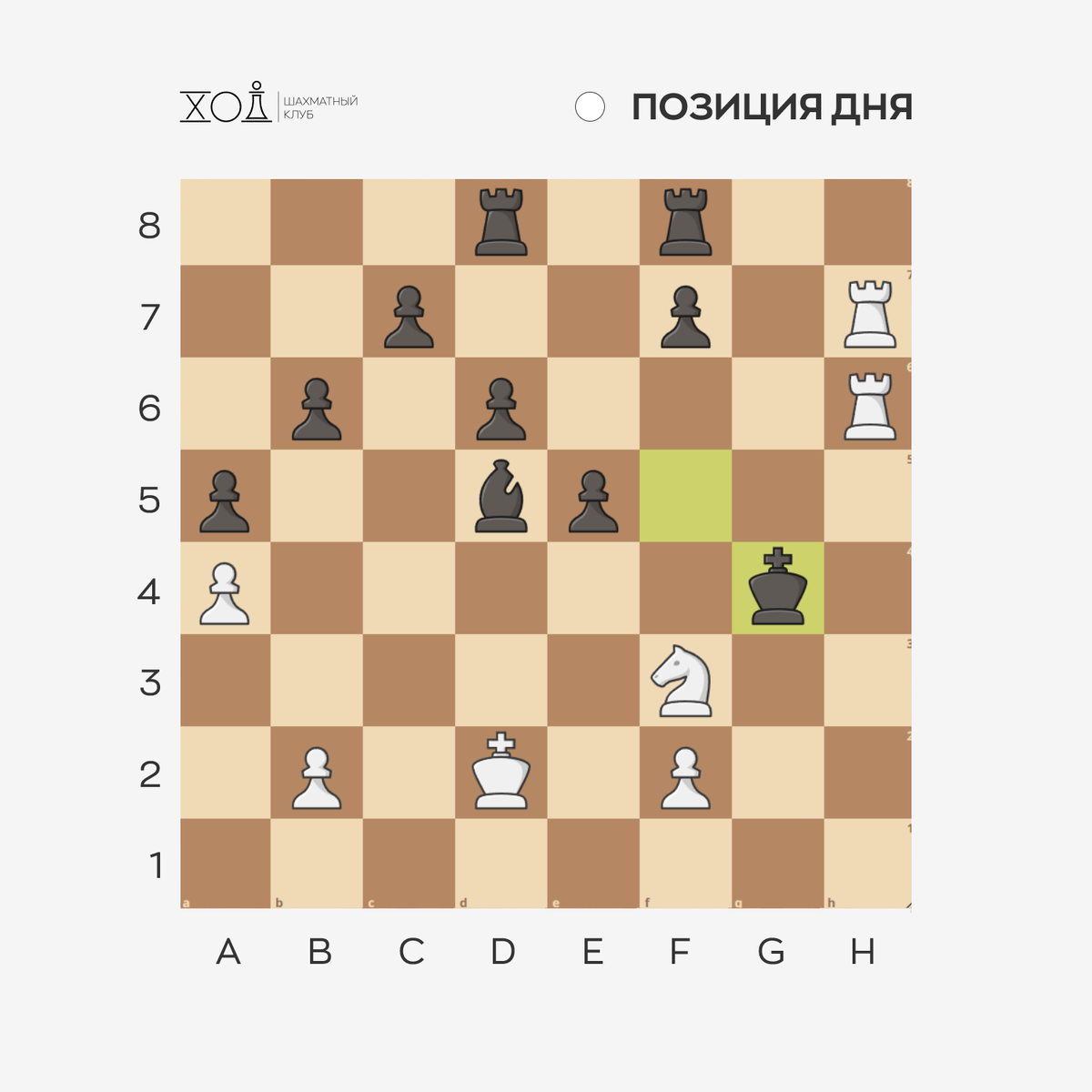 Шахматы в Пятигорске