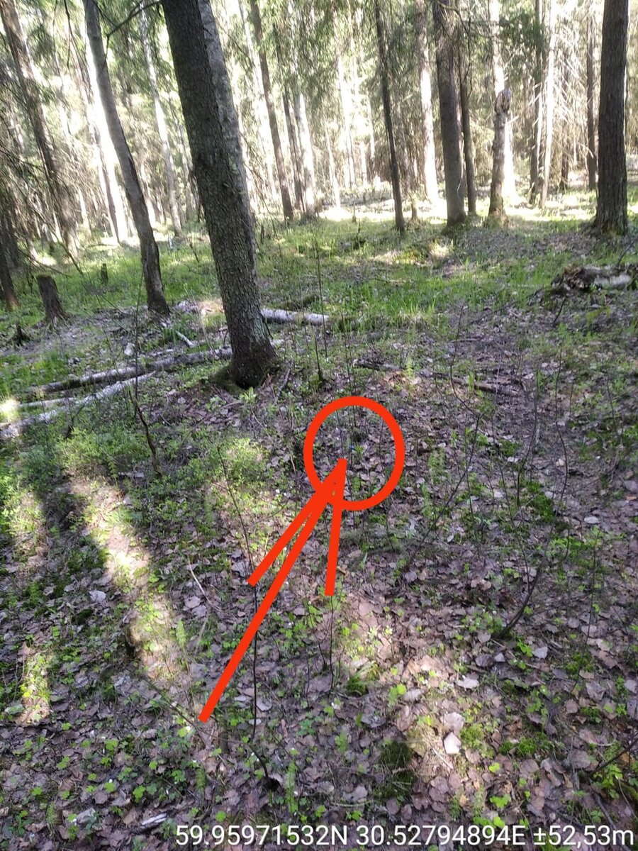 Ibb co что это. Ibb co что это. Ibb co что это. Ibb. Ibb co что это.