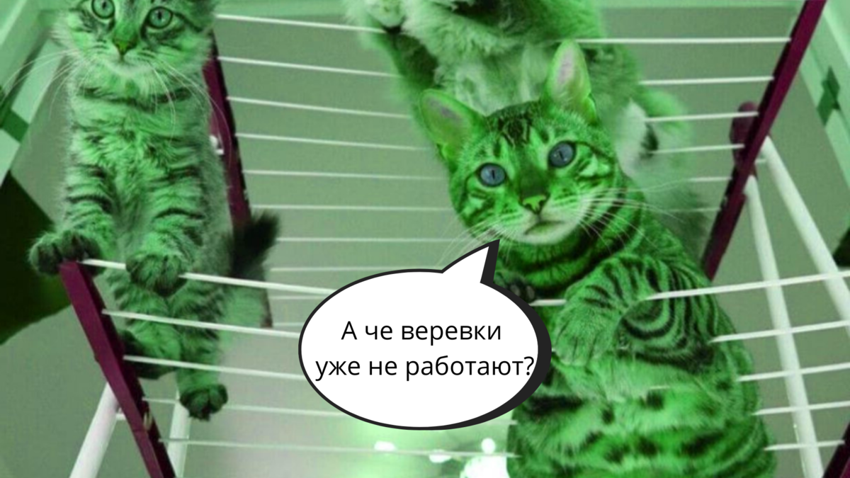 Зачем нужна сушильная машина?