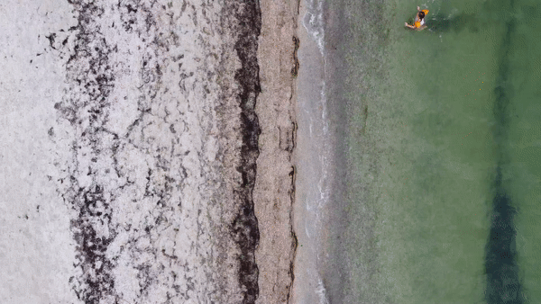 Черное море 2021