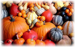 От маленьких декоративных, имеющих форму горшочка, до гигантских с круглыми боками, от ярко-оранжевых однотонных до черных в крапинку – сорта тыквы своим многообразием удивляют российских овощеводов. А это только представители привычной нам тыквы обыкновенной. Их более 100 разновидностей, когда сам род травянистых растений тыква (лат. Cucurbita), относящийся к семейству Тыквенные, насчитывает более 20 видов.