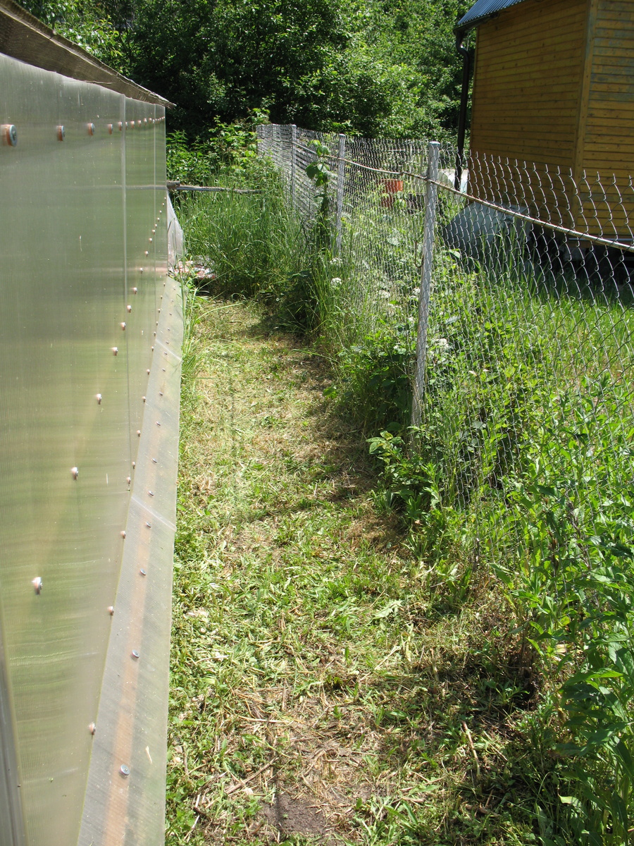 Скашивание вдоль стены и забора. Стена теплицы не загрязнена отлетающей травой