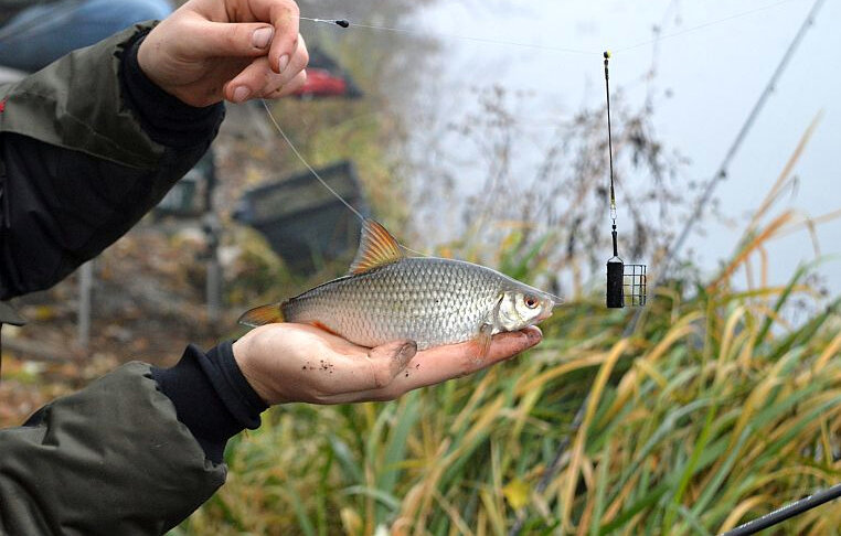 Хитрые снасти для рыбалки. Зимняя удочка двухкрючковая оснастка. Ловля на фидер весной. Плотва на течении. Подуст зимой.