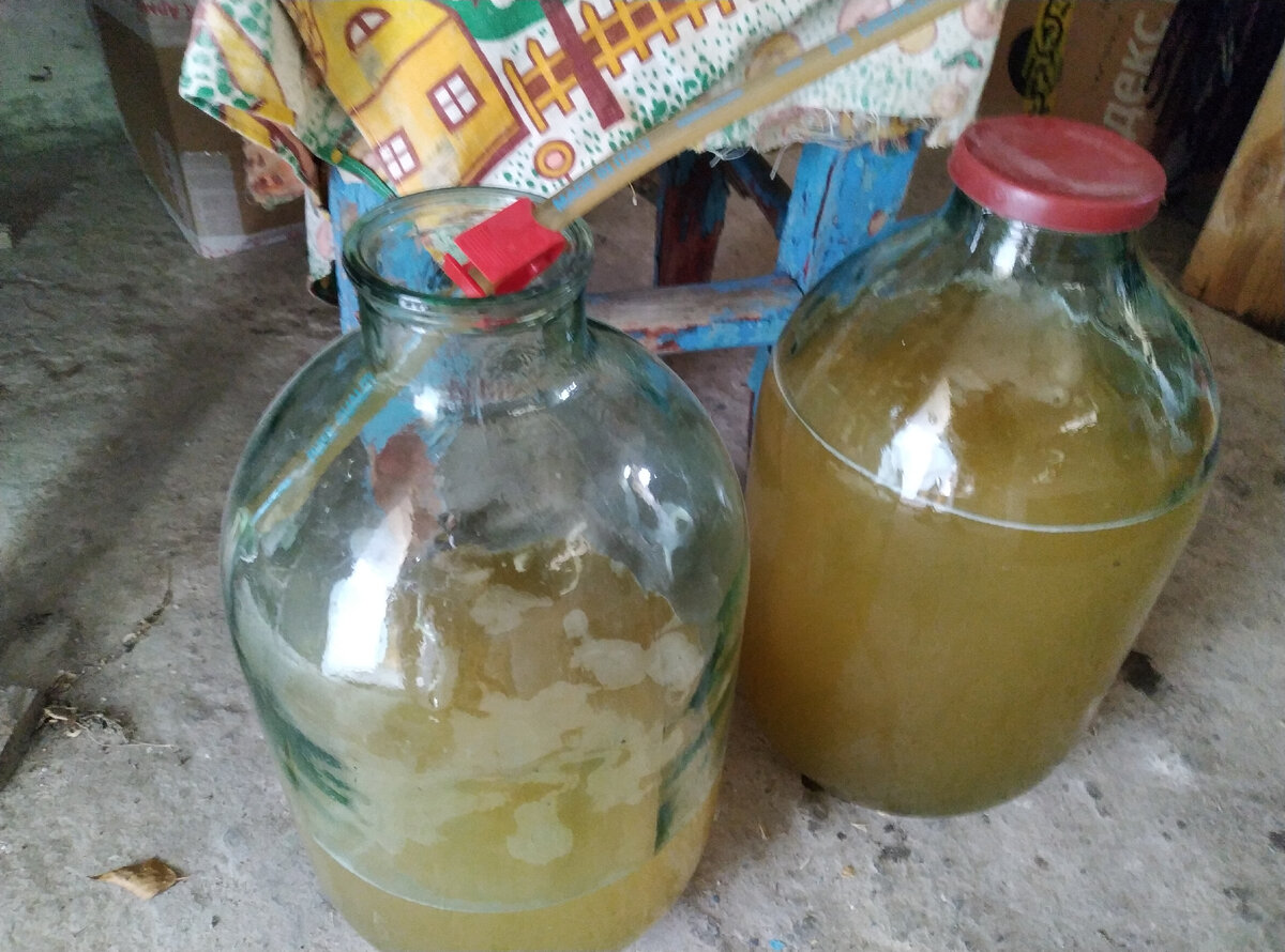 Цвет желто-зеленый, мутный