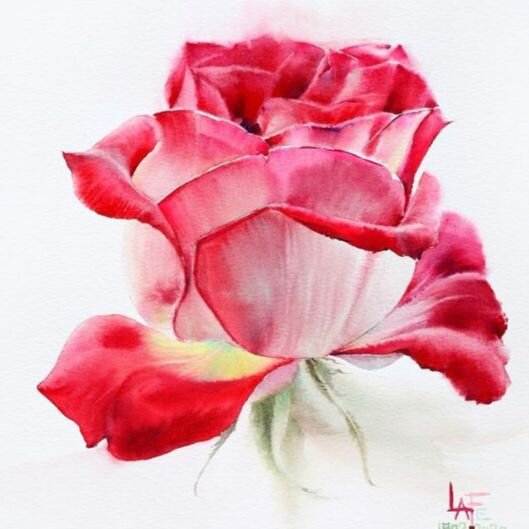 Изображение из аккаунта Ла Фе в Instagram @lafe_aesthetic_1_rose