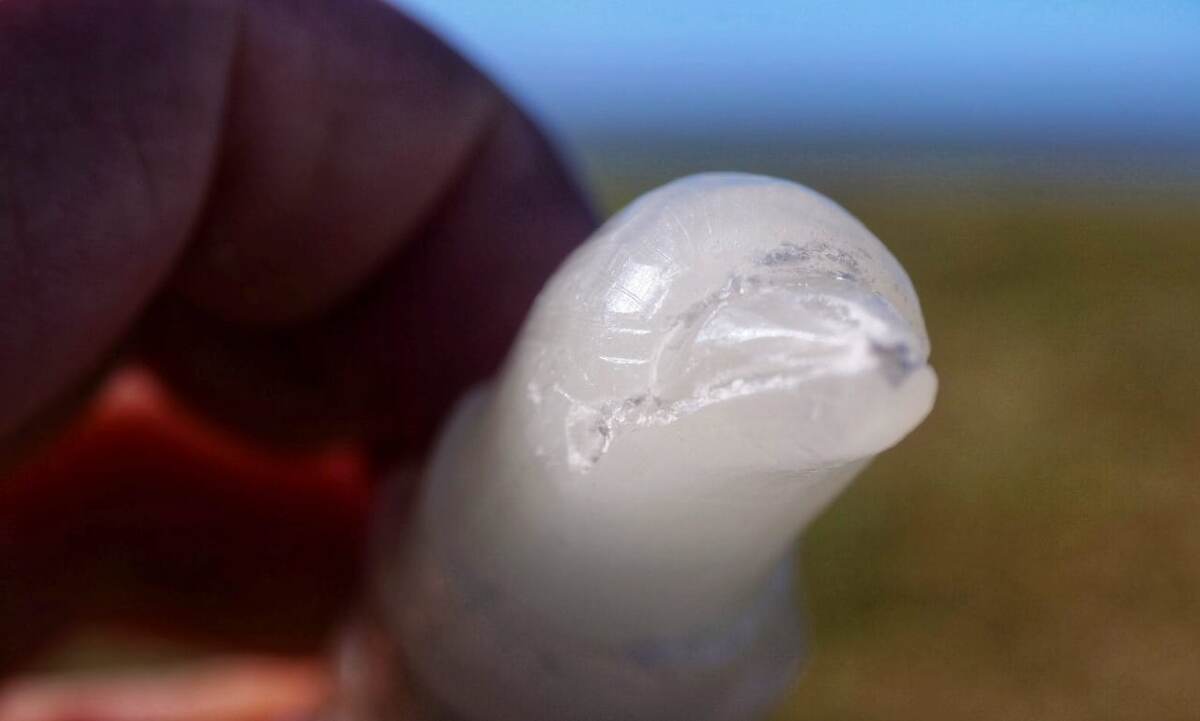 Черновик