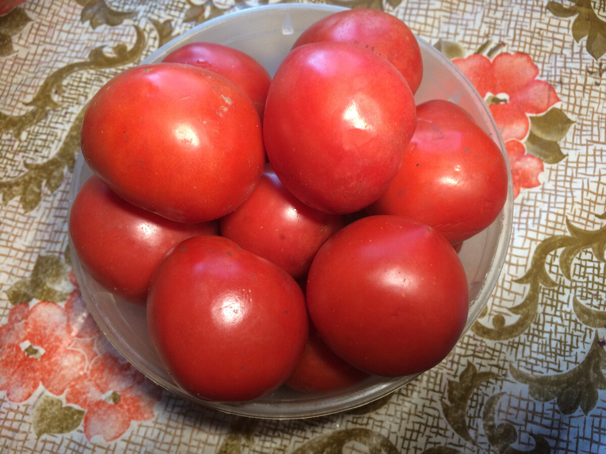 Томаты. Фото автора. (Листайте по стрелке)