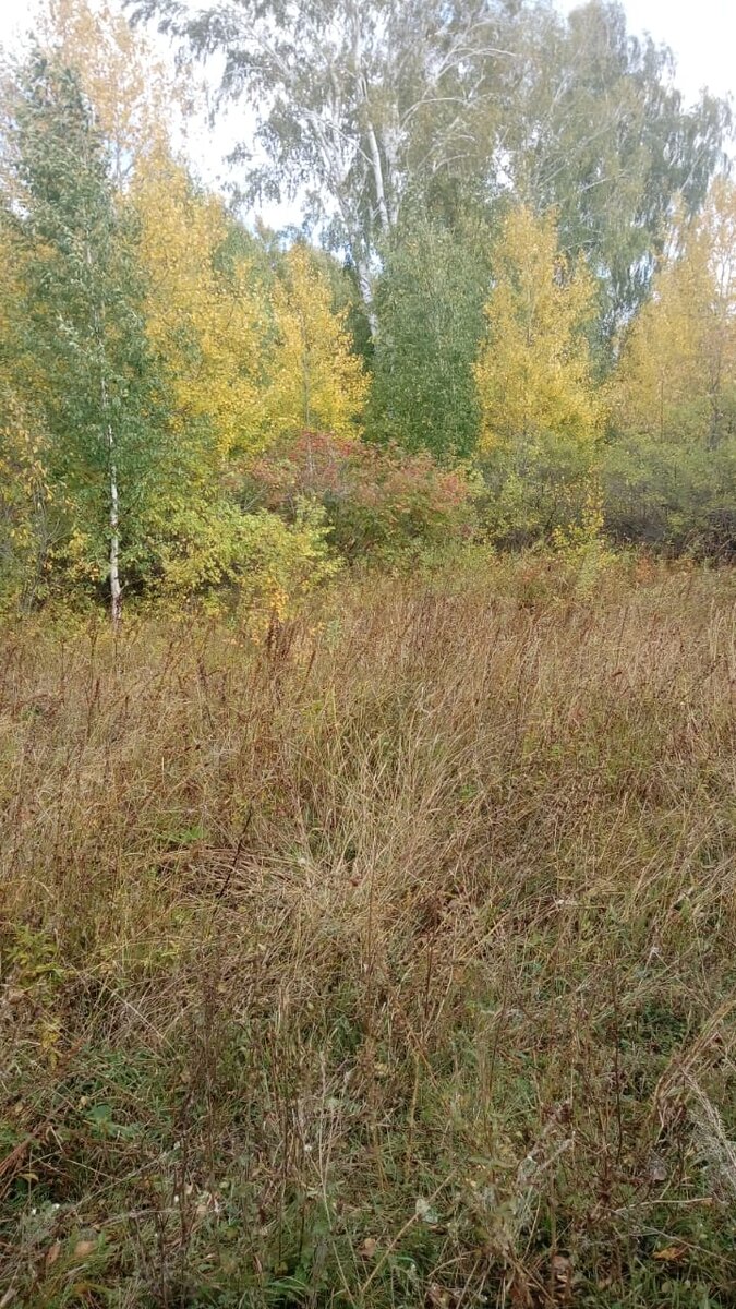 Просто красивый пейзаж