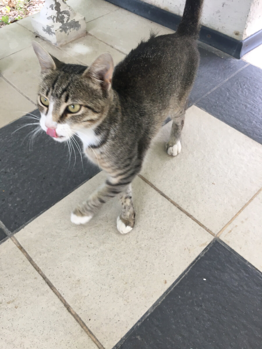 фото из личного архива 