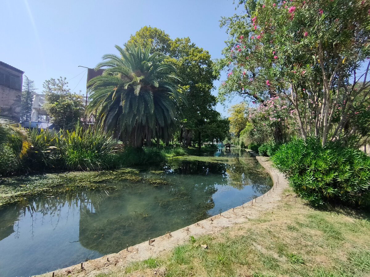 Некоторые пруды выглядя так