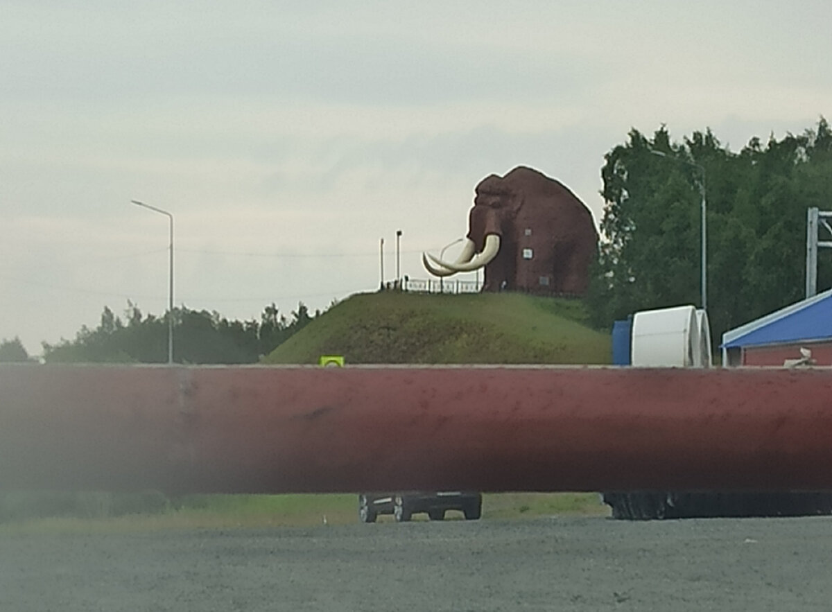 В Салехарде мамонты не вымерли