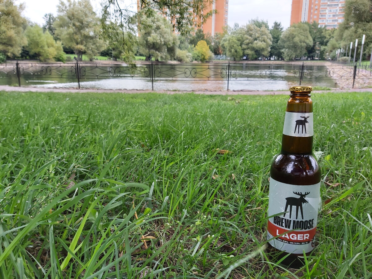 BrewMoose Lager, фото автора