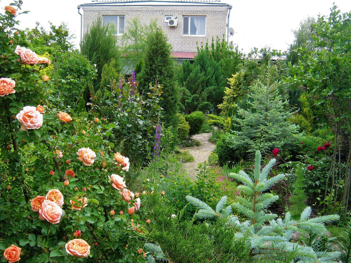 Дома у сада – цены, планировки и фото ЖК