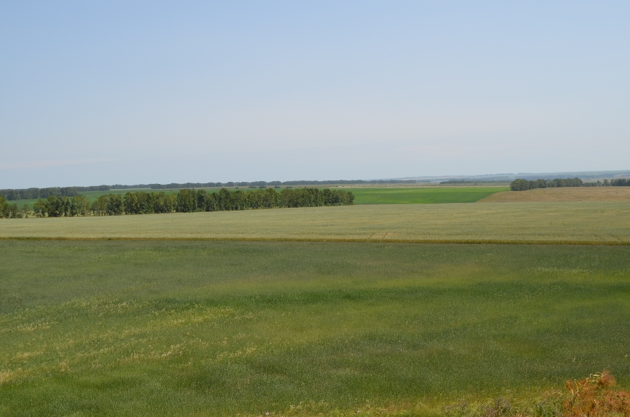 Село бугор. Село Раздольный Степной. Курган бугор. Деревня бугор Нагорский район. Черная речка курган