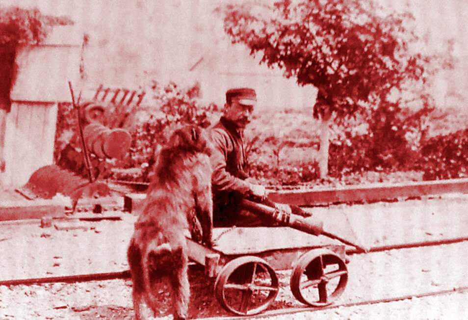 Фото 1879 года.