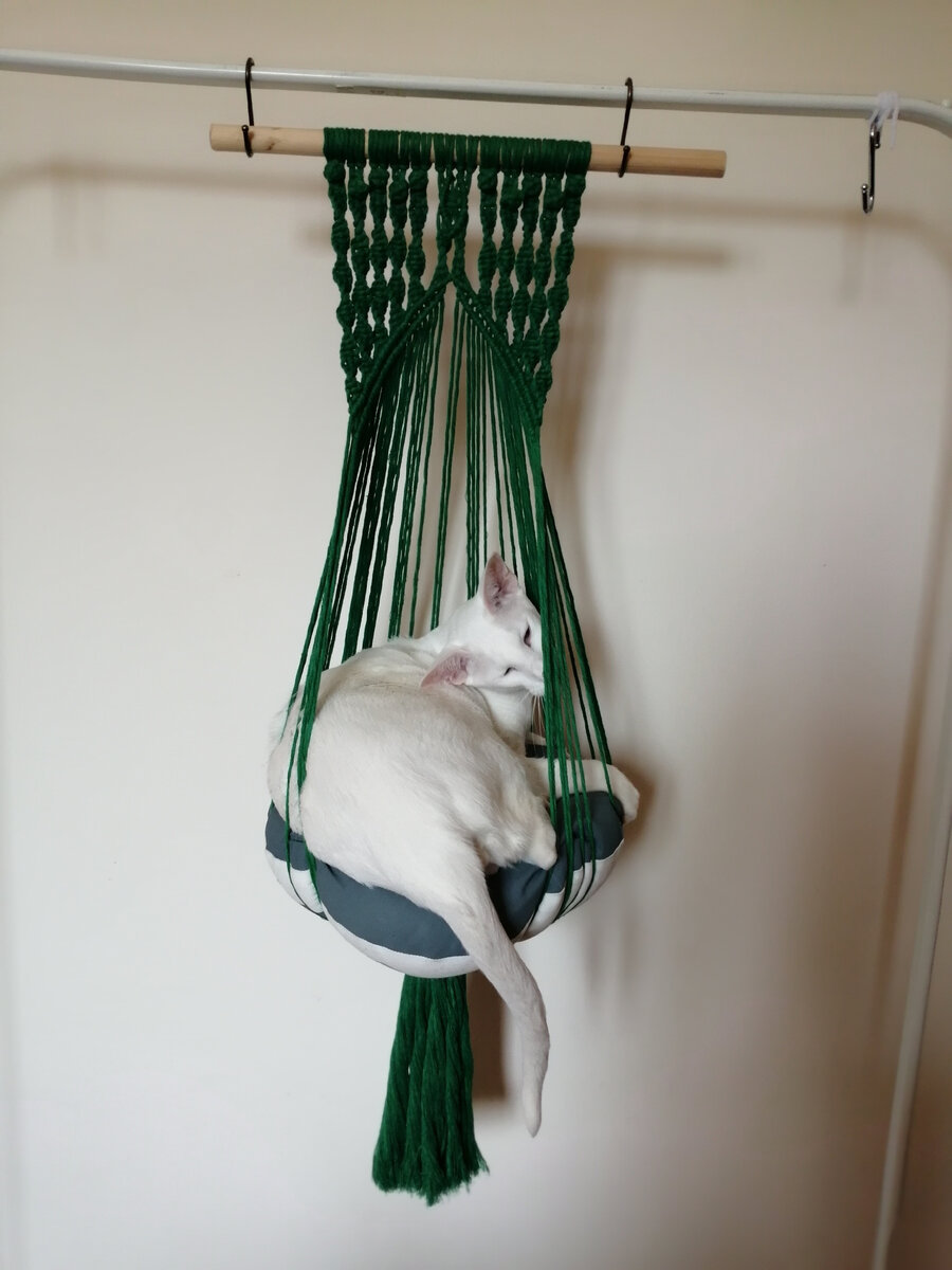 Авторское фото.