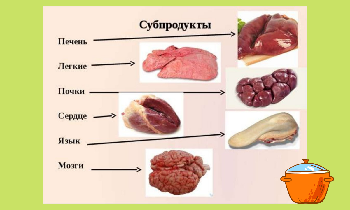 Мясные субпродукты печень.