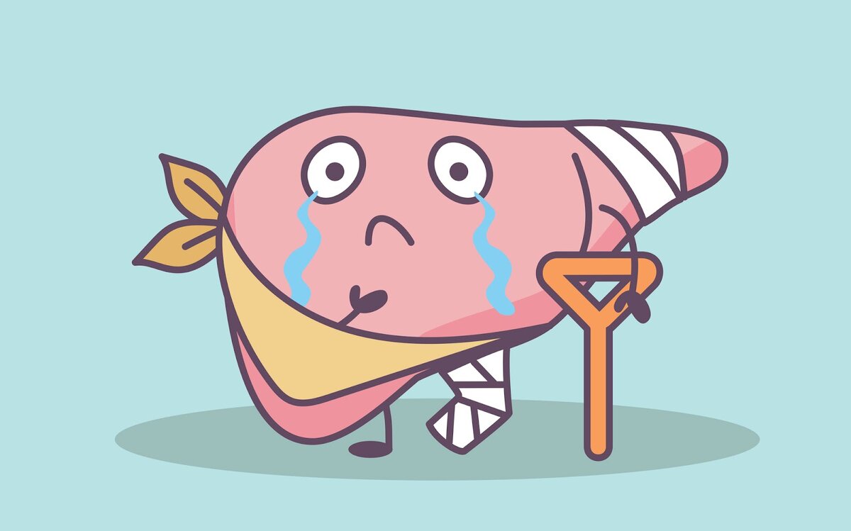 Источник: Яндекс-картинки