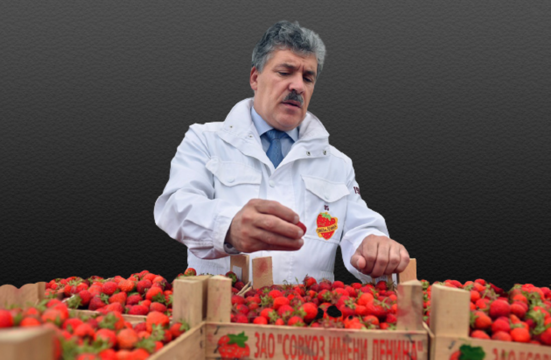 Павел Грудинин осматривает урожай