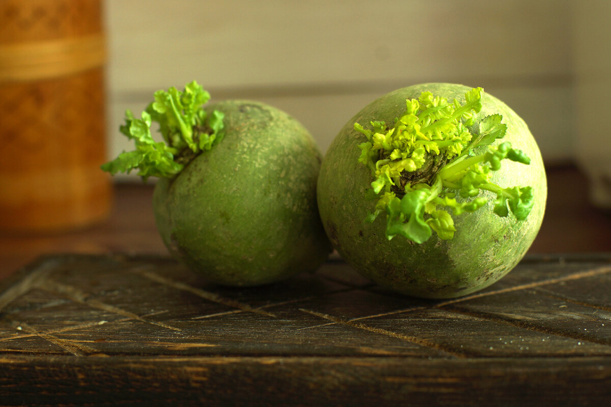 Зеленая редька.