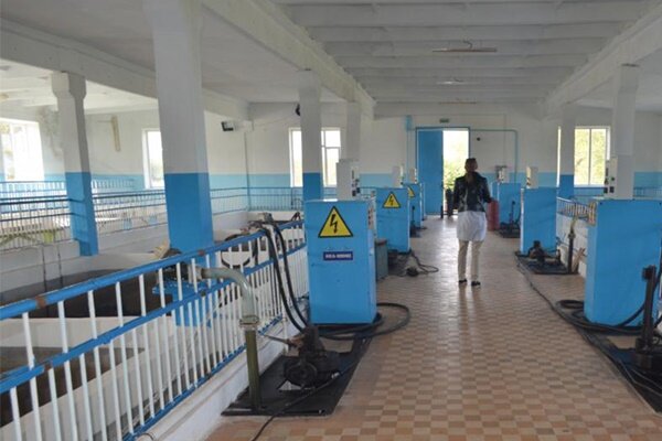 фото novochgrad.ru