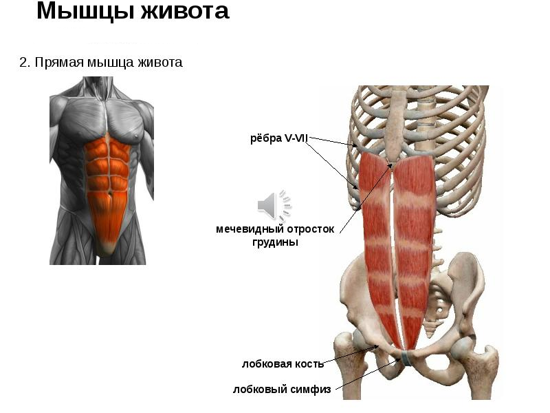 Почему во время бега колет под ребрами?