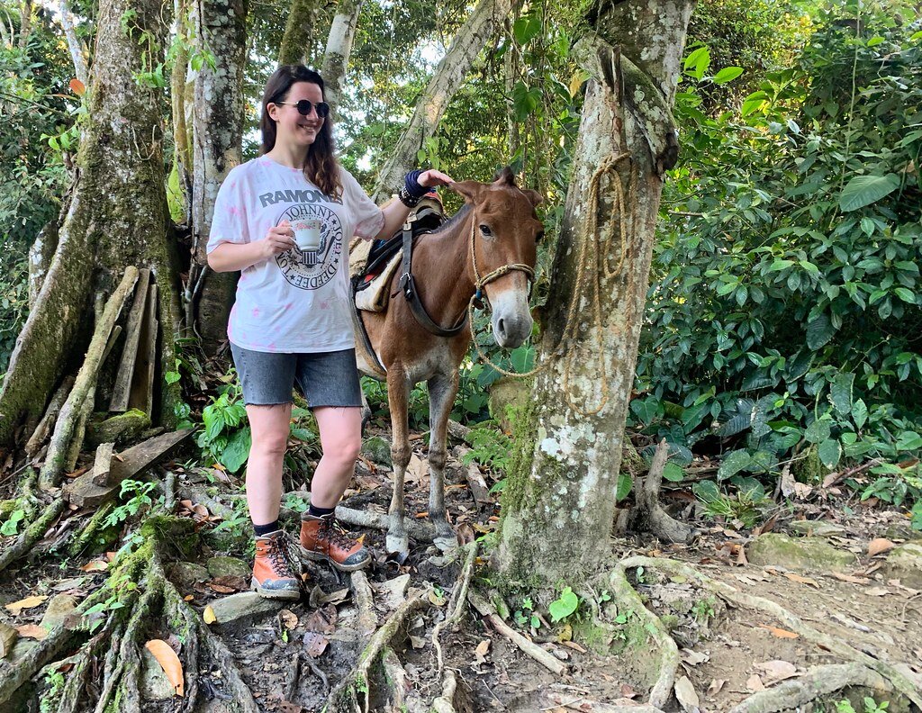 хижина в джунглях таиланда. заповедник таман негара. эко отель бали. вьетнам деревня в джунглях. тропические виллы в убуде.