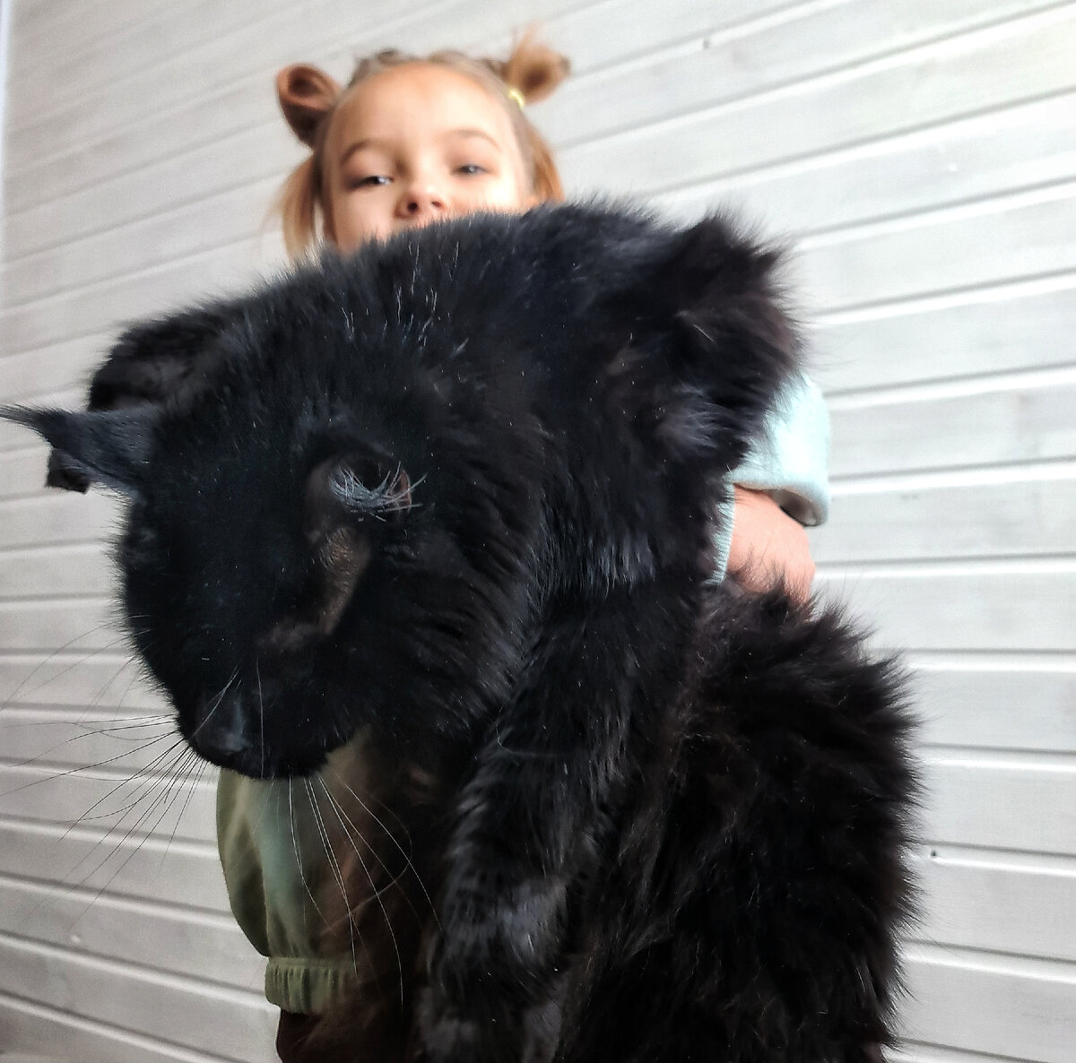 Дочкаи Бегемот