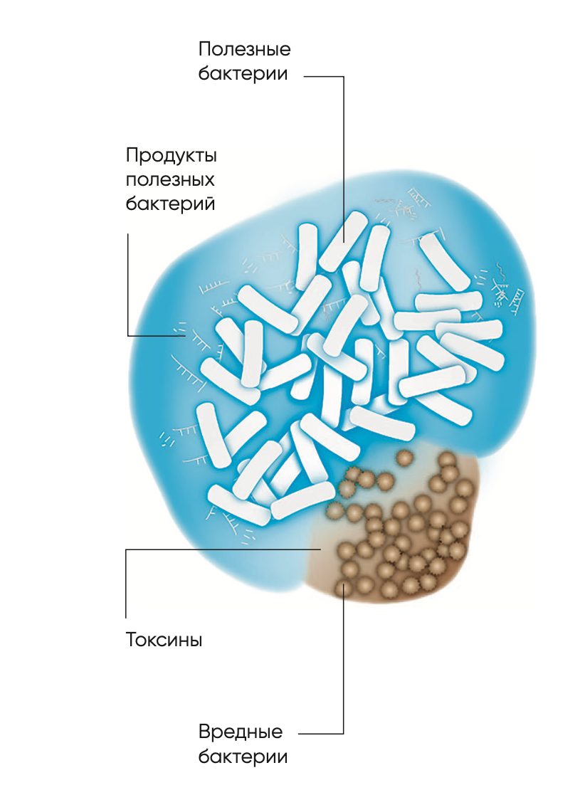 Как женщине восстановить микрофлору влагалища не прибегая к усилиям?