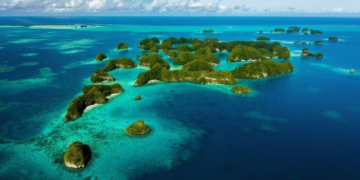 Иллюстрационное фото из открытых источников интернет