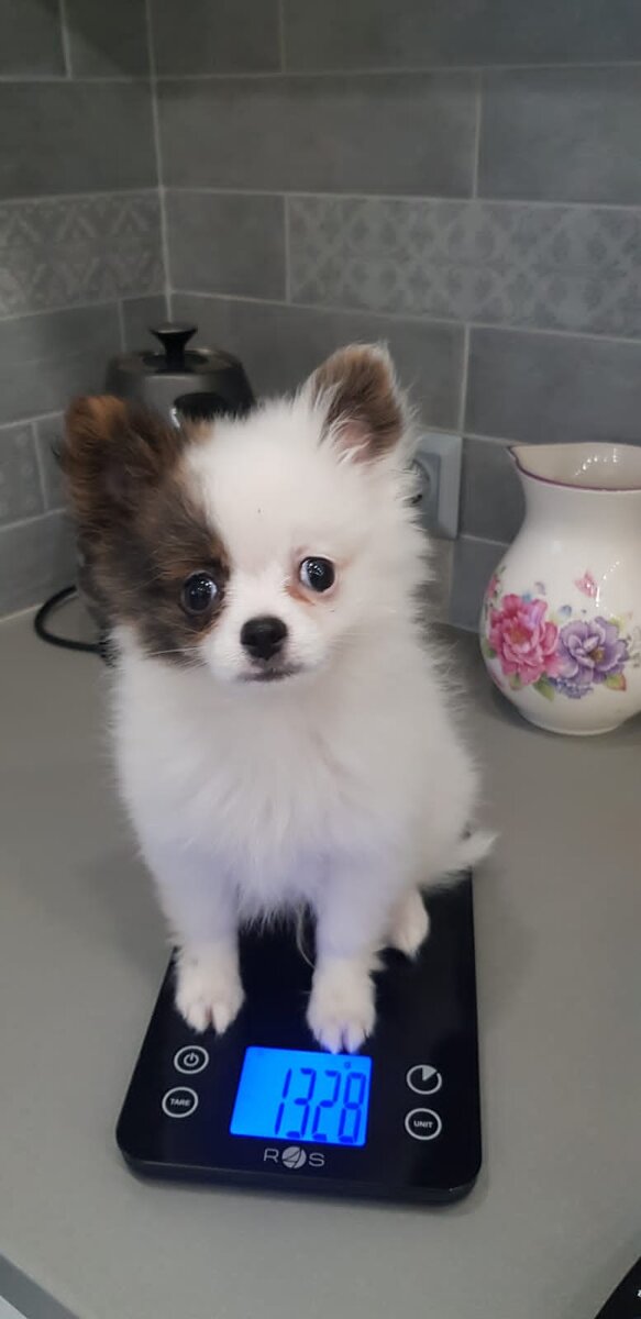 Этому малышу всего 1 месяц 