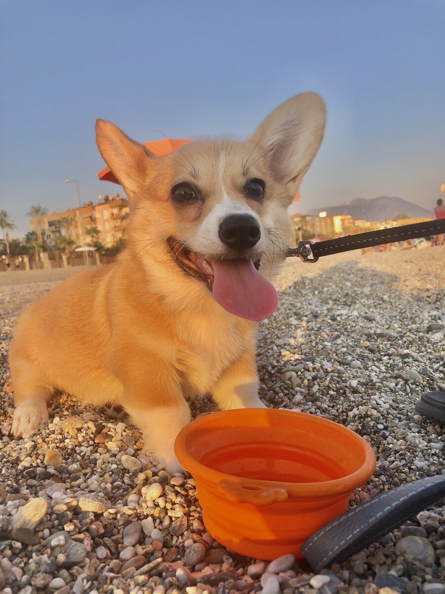 Еда вне дома