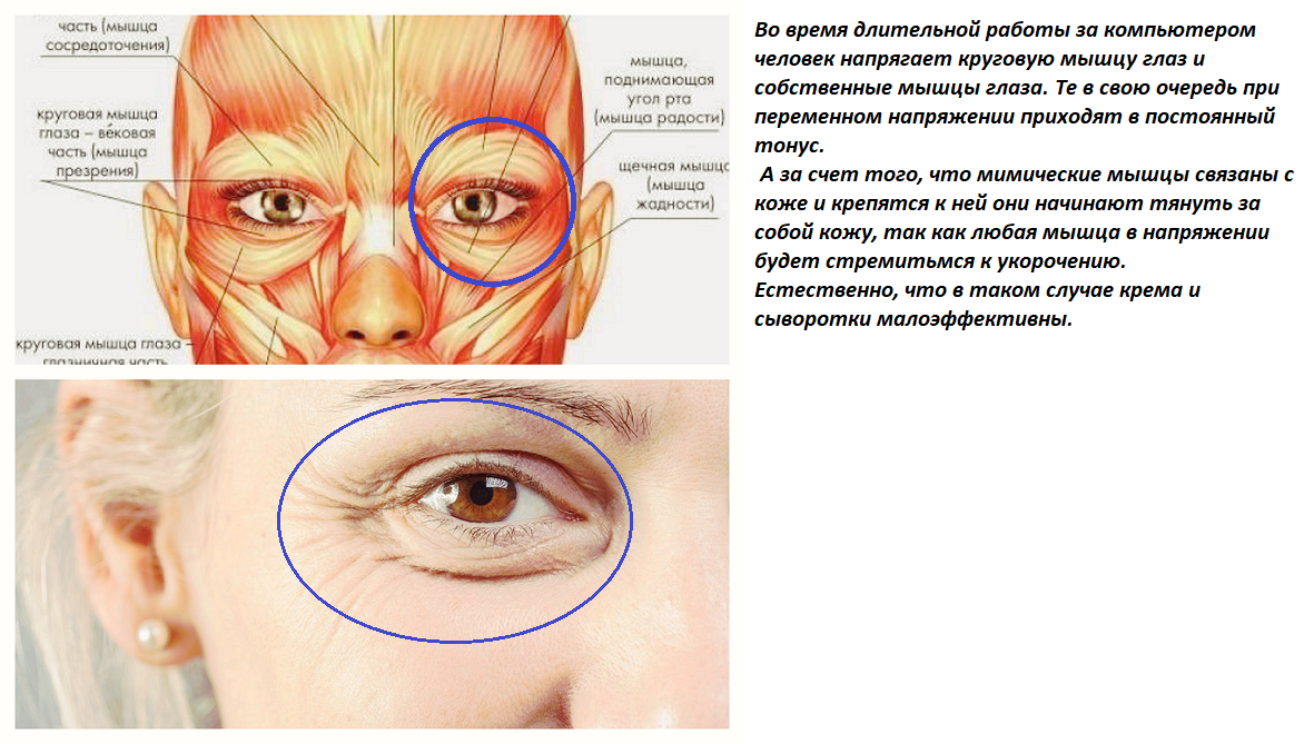 Глаза быстро устают: причины | Дельфанто