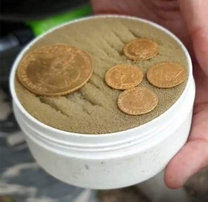 Золотые находки братьев