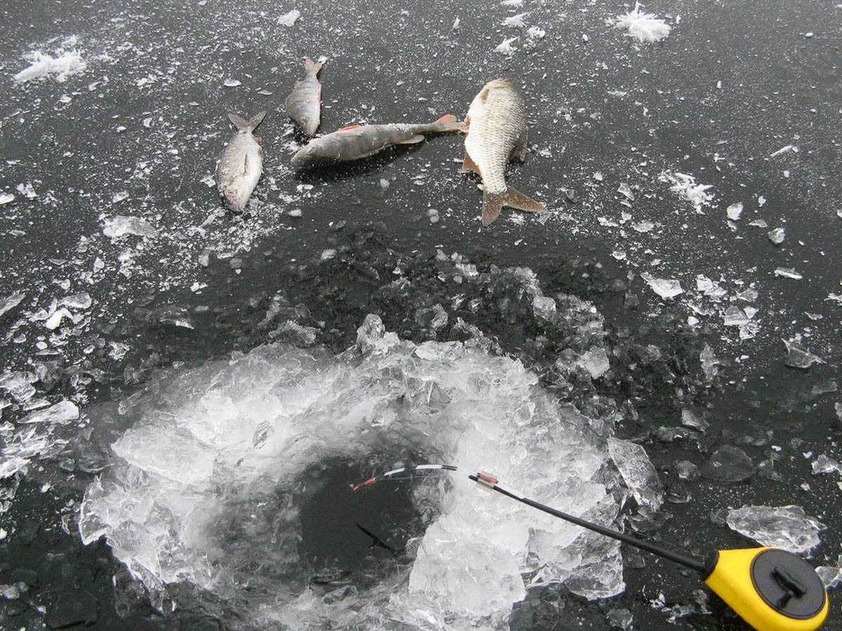 фото в свободном доступе
