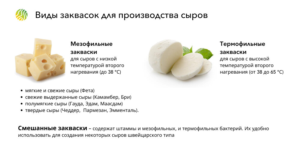 Закваска на хлебопекарном производстве. Сколько хранится закваска. Рецепт идеальной квашеной капусты. Виды заквасок для хлеба. Закваски для кисломолочных продуктов.