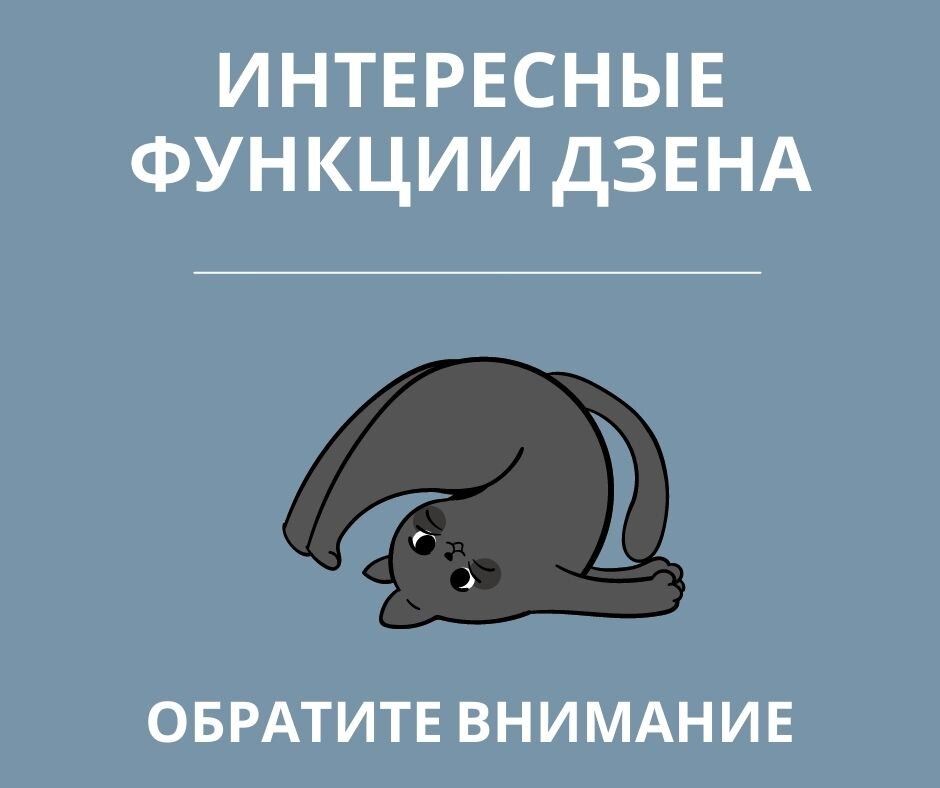 Главное на дзене