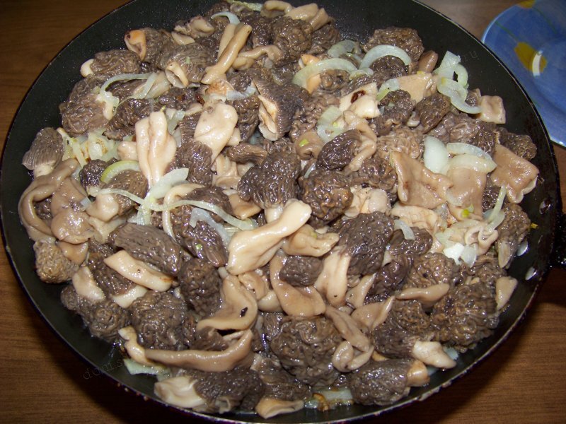 Строчки грибы рецепты приготовления на сковороде с фото