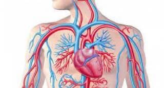 Картинка из интернета.