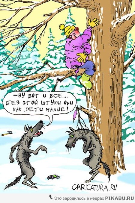 Из сети. Передаёт общий смысл.