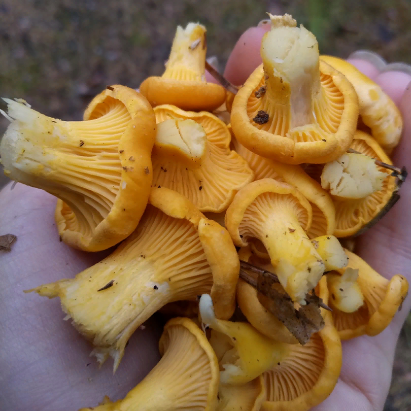 Фото: М. Мунтян