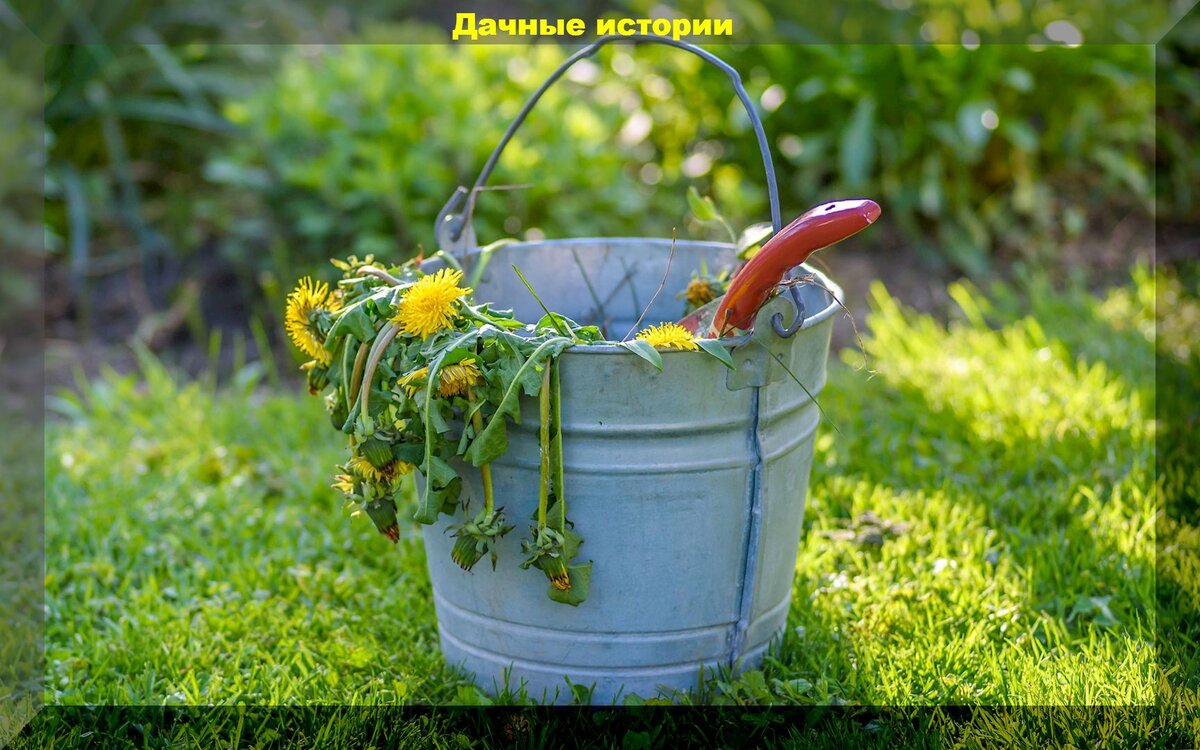 https://vk.com/photo-159774511_457253923