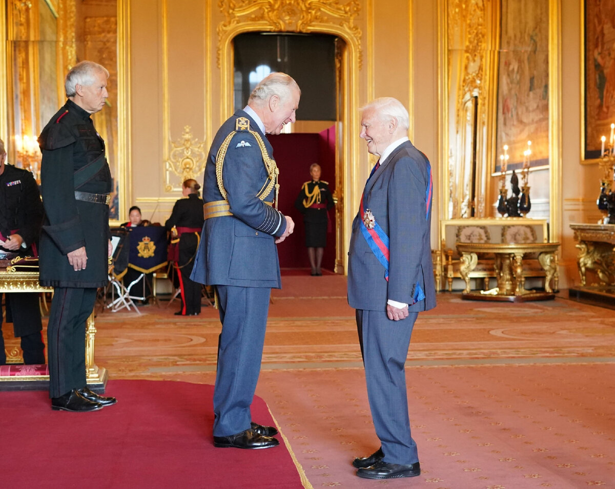 twitter.com/RoyalFamily