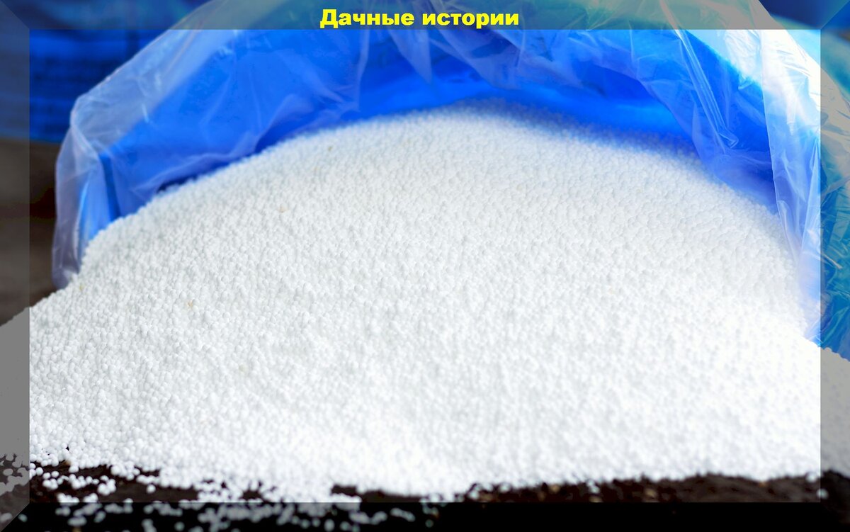 https://vk.com/photo-159774511_457253738