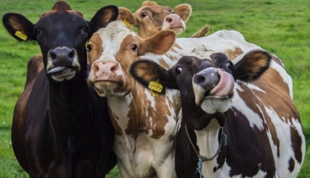 Ставьте лайк, если вам понравилась публикация. Подписывайтесь на канал и будьте в курсе отраслевых событий.)