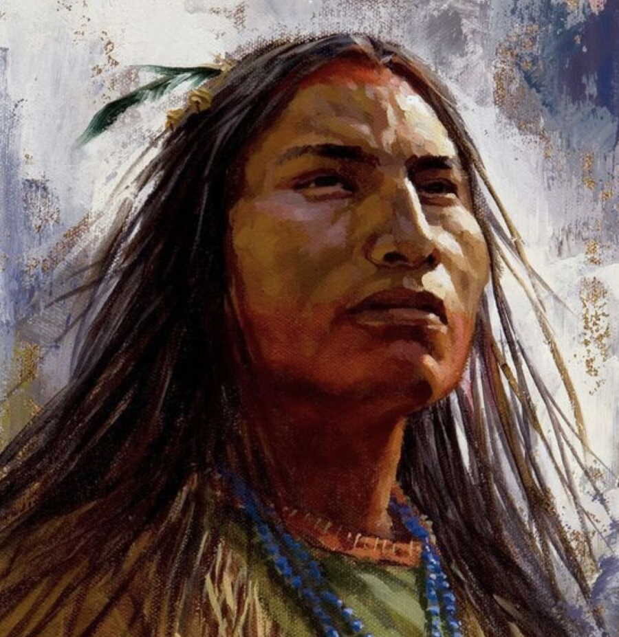 Индеец и индиец. Индейцы мапуче Арауканы. Ихеты индейцы. Покотило Шошоны. Индейцы Северной Америки.