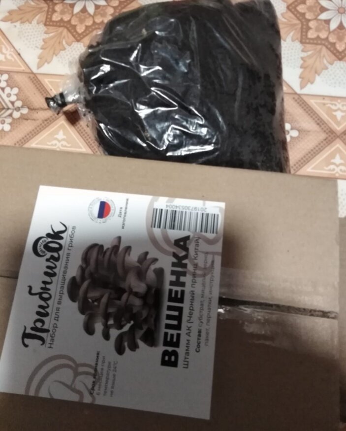 В таком виде продают мицелий вешенки... 