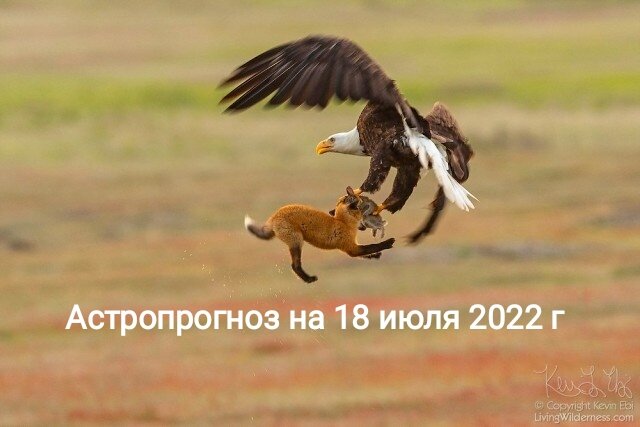 Картинка с сайта google.ru