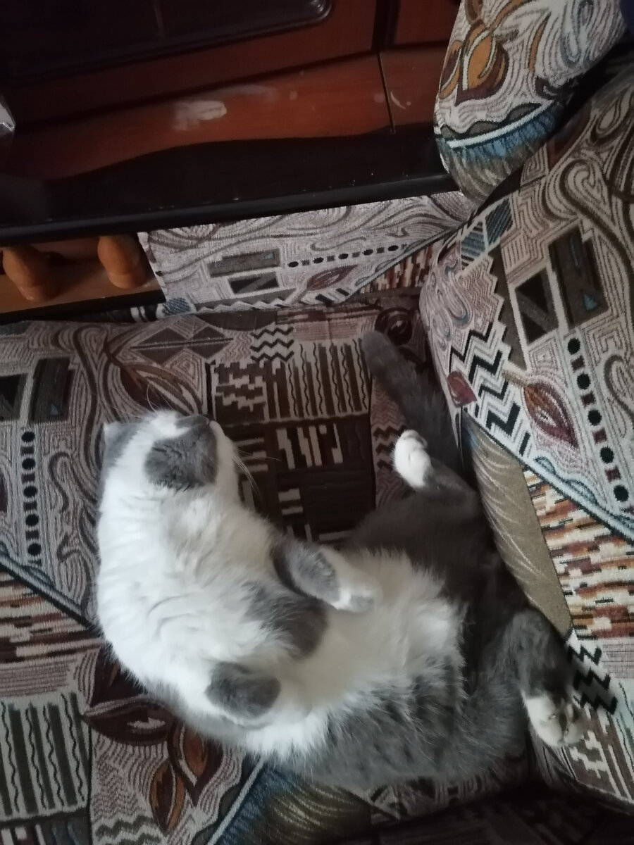 Фото автора канала. 