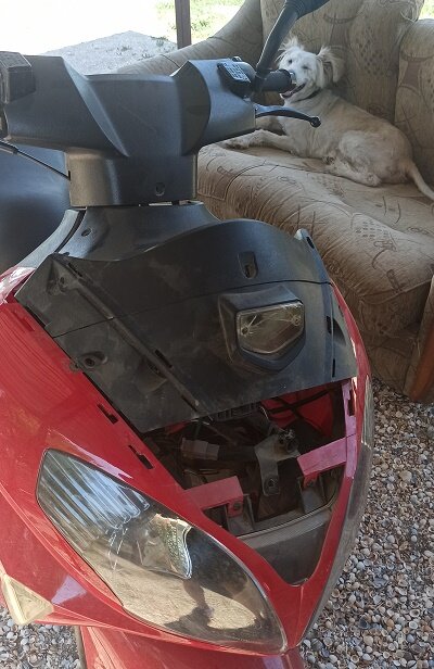 Мопедка в процессе разбора...